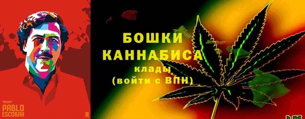 гидра Бородино