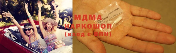 гидра Бородино