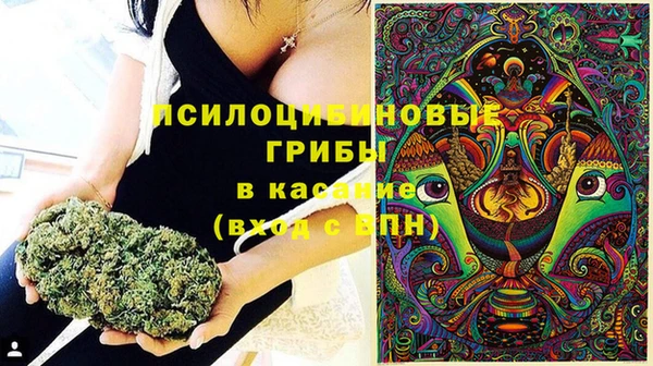 прущий лед Богородск
