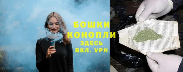 гидра Бородино