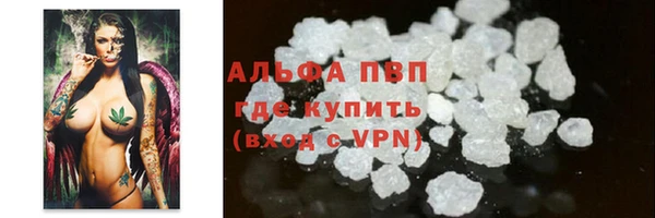 гидра Бородино
