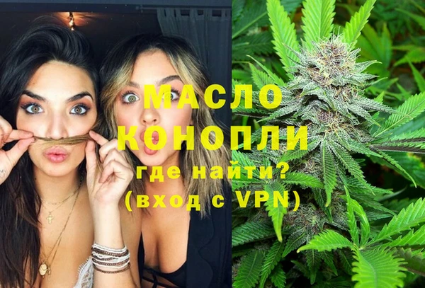 дмт Богданович