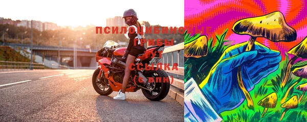 тгк Богородицк
