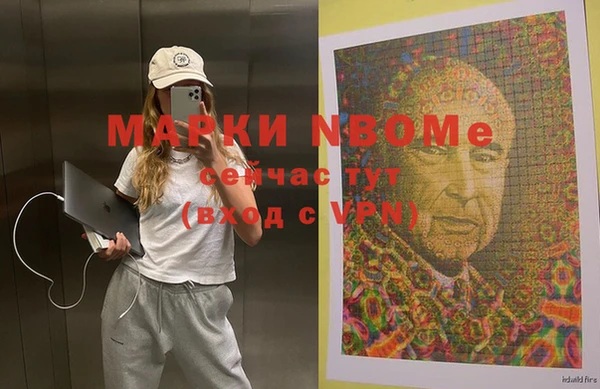 дмт Богданович