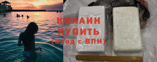 дмт Богданович